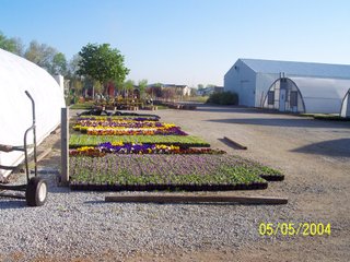 <a href="http://www.mcintoshgreenhouse.com">More Information Available at www.mcintoshgreenhouse.com</a><br><br>Fantastic opportunity on 14+/- acres just south of Goshen, IN with lots of frontage on US 33.  This property is currently zoned commercial-retail and consists of 16 greenhouses with 37,494 SF of heated growing area.  

In addition, it includes retail buildings, shop, and an approx. 1700 SF home adjacent to the business. Opportunities abound with this prime property and the second generation owners retiring and ready to consider offers.  Possible uses of this acreage is unlimited!  A Great location on a busy road, good access and paved parking for 66 vehicles.

 - 14+/- Acres Zoned Commercial-Retail